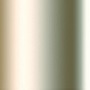 93077 Formula P3 Radiant Platinum 93077 Formula P3 Radiant Platinum